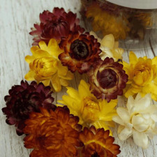 Dried edible strawflowers, 15 pieces