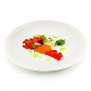 Stampo per granchi in silicone, 12 pezzi