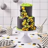 FunCakes Raven Black roll fondant, 1 kg