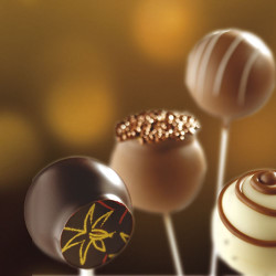 Professional lollypop silicone mold, 67 pieces for ganache, mousse, ice cream, jelly or even a fructose lollypop mixture