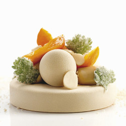 Professional lollypop silicone mold, 8 pieces