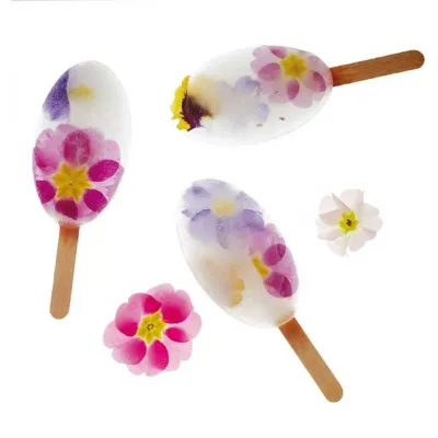 Stampo per gelato Waikiki per perfetti ghiaccioli