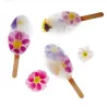 Glaceform Waikiki für perfektes Eis am Stiel
