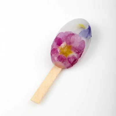 Stampo per gelato Waikiki per perfetti ghiaccioli