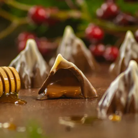 Moule à pralines Matterhorn 20 pièces