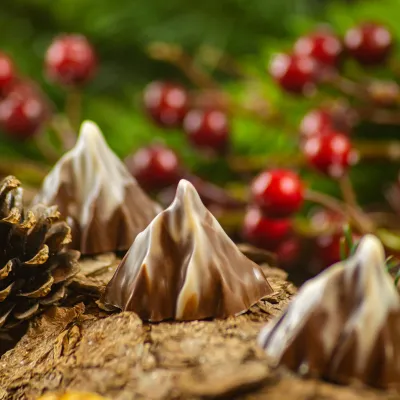 Moule à pralines Matterhorn 20 pièces