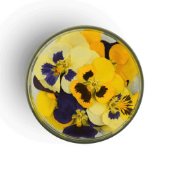 Essbare Veilchen getrocknet, 15 Stück