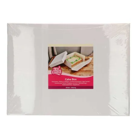 Silver cake box 40.6 x 30.4 x 15.2 cm
