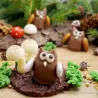 Cahier de recettes de pralines pour avancés