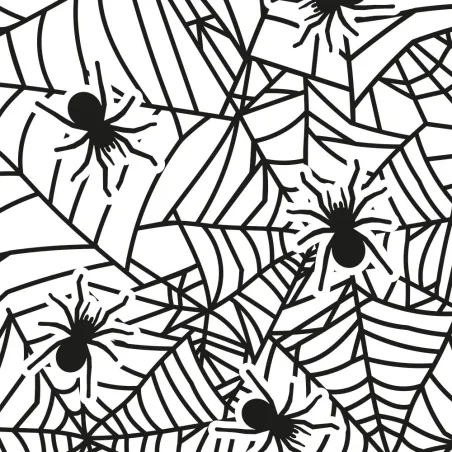 Clear bag spider web