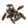 Tonka beans from Terre Exotique