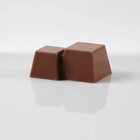 Moule à pralines double trapèze 24 pralines