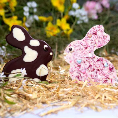 Stampo per tavolette di cioccolato a forma di coniglio per tavolette pasquali