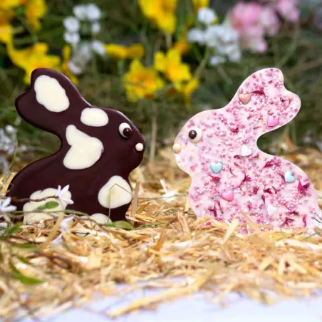 Stampo per tavolette di cioccolato a forma di coniglio per tavolette pasquali