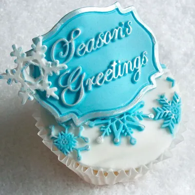 Silicone embosser snow star