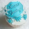 Silicone embosser snow star
