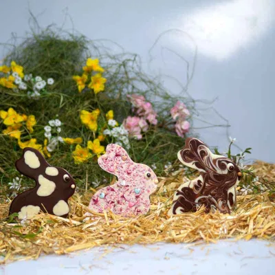 Chocolate bar mold bunny for Easter chocolate bars
