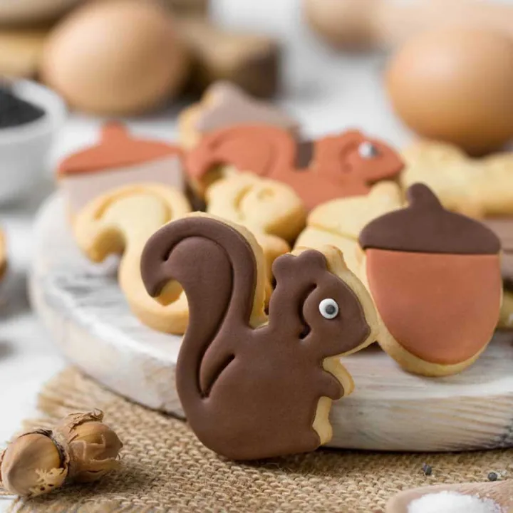 Forest cookie cutter set of 2 nut and squirrel plastic