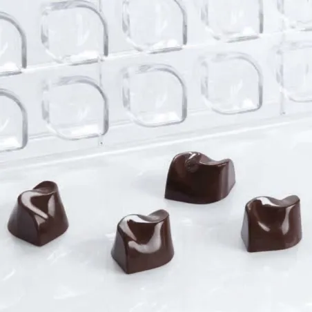 Praline mold Flow 24 chocolates