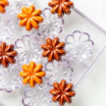 Praline mold star anise, 15 pieces
