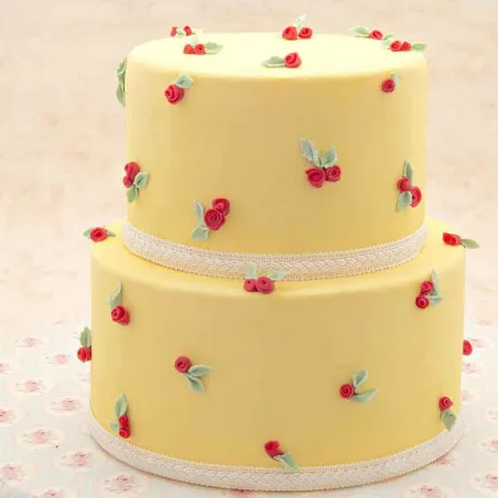 Cake dummy round Ø 25 cm x 5 cm
