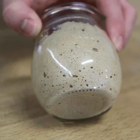 Sourdough Starter 160 g for Wheat and Rye Sourdough
