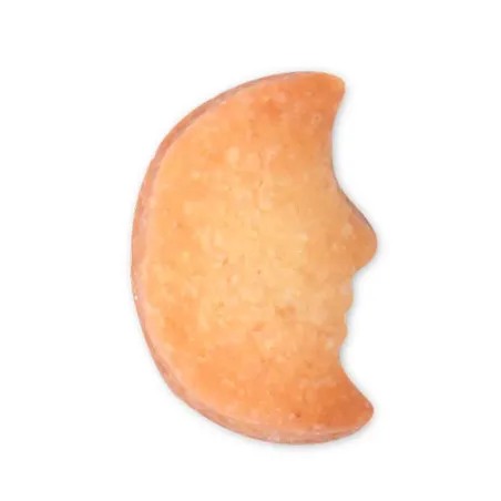 Cookie cutter moon mini for delicious Guetzli