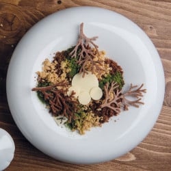 Silicone mold Hüppen Branch