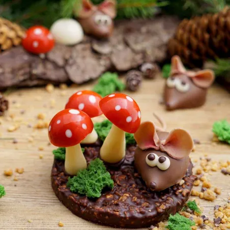 Cahier de recettes de pralines pour avancés