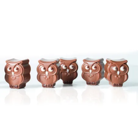 Moule à pralines Hibou 21 pralines