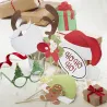 Photo Booth Festive, 10 pezzi
