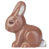 Chocolate mold bunny, 4 pieces