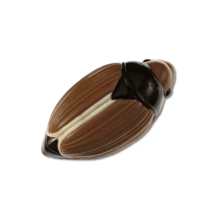 Moule à chocolat hanneton pour réaliser de superbes figurines en chocolat personnalisées