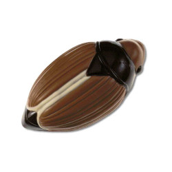 Moule à chocolat hanneton, 5 pièces