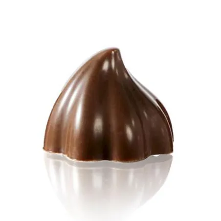 Praline mold Rigi Spitzli 24 chocolates for fine chocolates