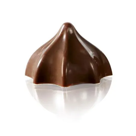 Praline mold bonnet 24 chocolates for noble chocolates