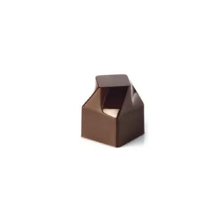 Praline mold rotation 24 chocolates