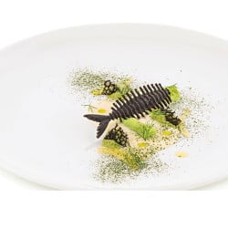 Moule en silicone pour tuiles Arêtes de poisson