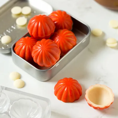 Praline mold fine pumpkin 14 chocolates
