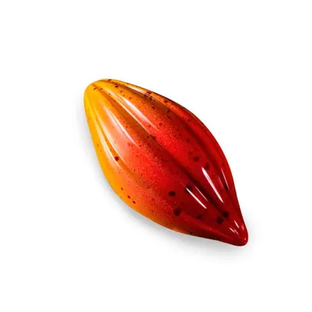 Praline mold cocoa bean 21 pralines