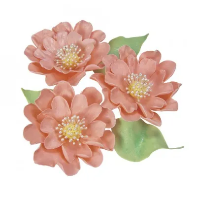 Shape & texture modeling tool for beautiful decorations