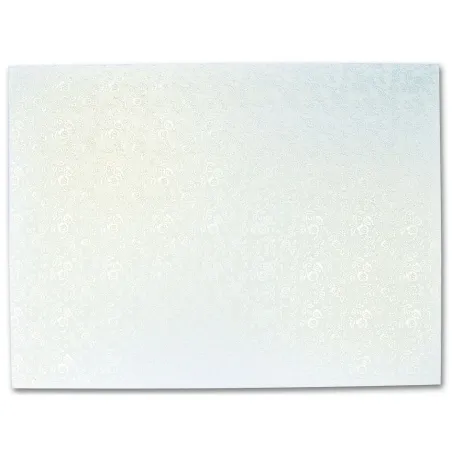Plateau à tarte rectangulaire 30 x 40 cm transport sûr