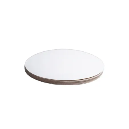 Cake slices Ø 20 cm, 10 pieces