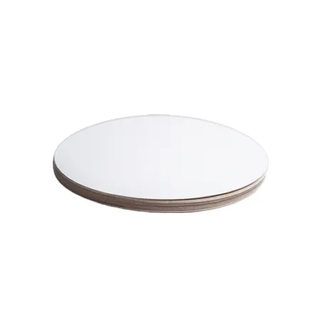 Disques à gâteau Blanc Ø 22 cm 10 pièces