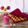 Moule en silicone CakePop classique pour de délicieux petits gâteaux