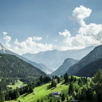 Petali di fiordaliso biologici commestibili blu dalla Svizzera