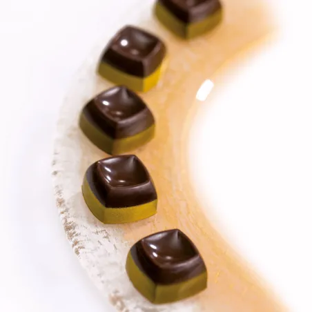 Chocolate mold cushion 28 chocolates