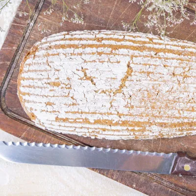 Proofer rectangular, 38.5 cm for perfect bread