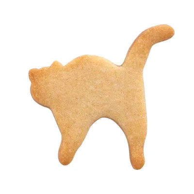 Cookie cutter cat with hump
