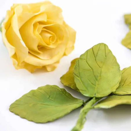 Rose petal cookie cutter set, 4 pieces